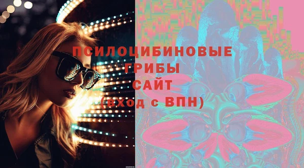 соль ск Медногорск