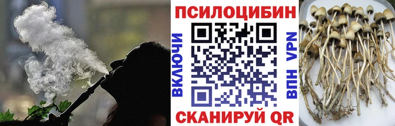где продают наркотики  Томилино  Псилоцибиновые грибы ЛСД 